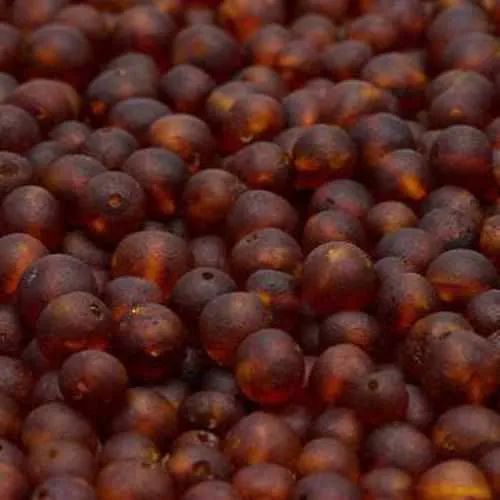 Adult Cocoa Raw Cognac Baltic Amber Anklet