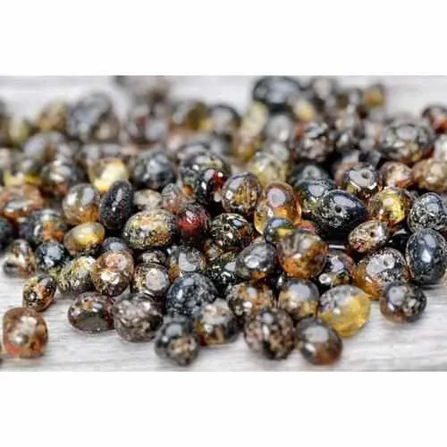 Adult Evergreen Polished Green Baltic Amber Necklace